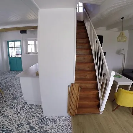 La Cousinade No 诺亚芒提亚